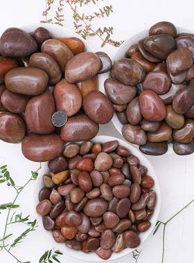 红色抛光鹅卵石厂家园林铺色雨花缸石路红头鱼装饰红色高光亮光石