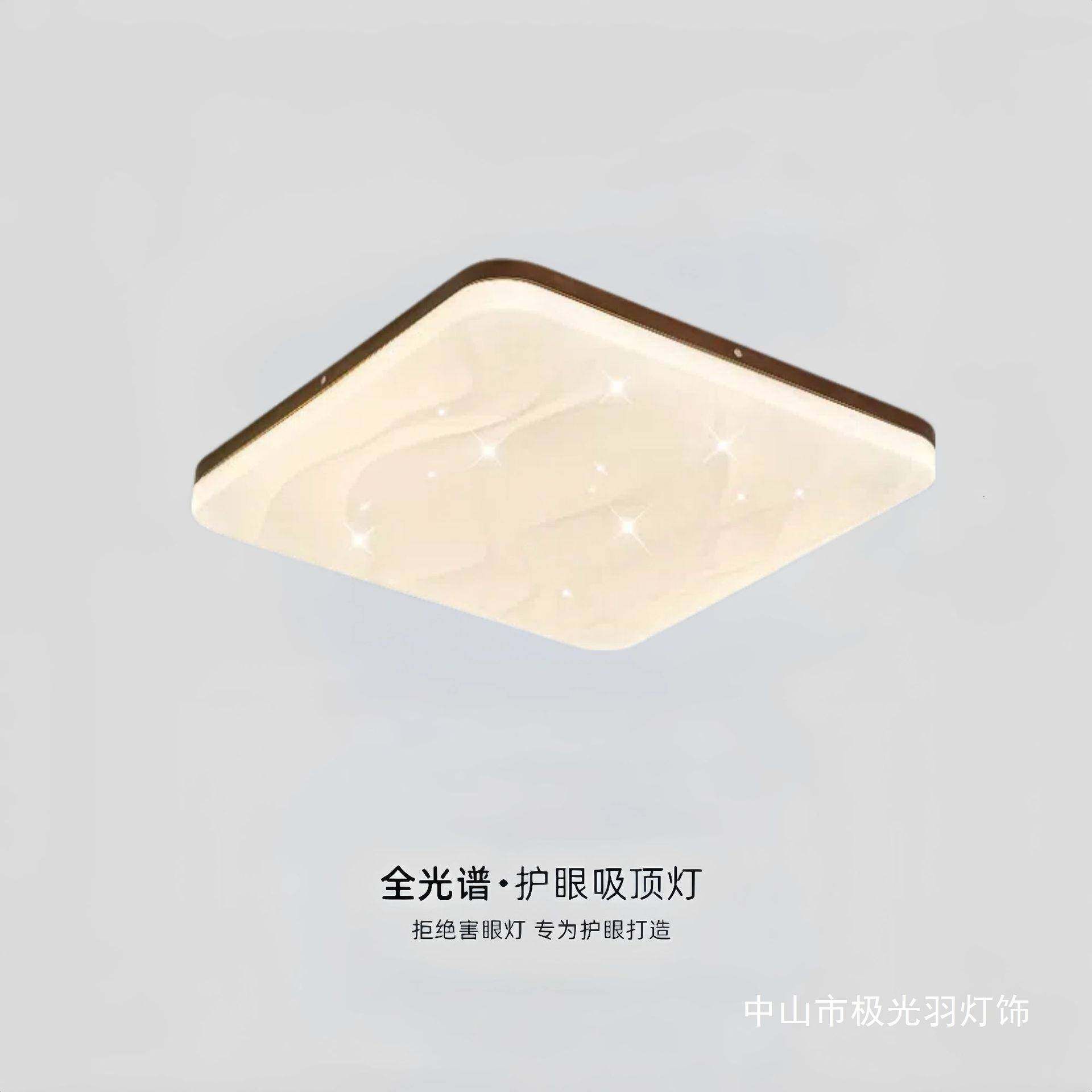 卧室简约现代木纹色圆形中式客厅阳台书过道房灯房ALJGSHAN间l新e,畜牧/养殖物资,特种养殖设备,淘宝优惠券,粉丝福利购,淘宝优惠卷