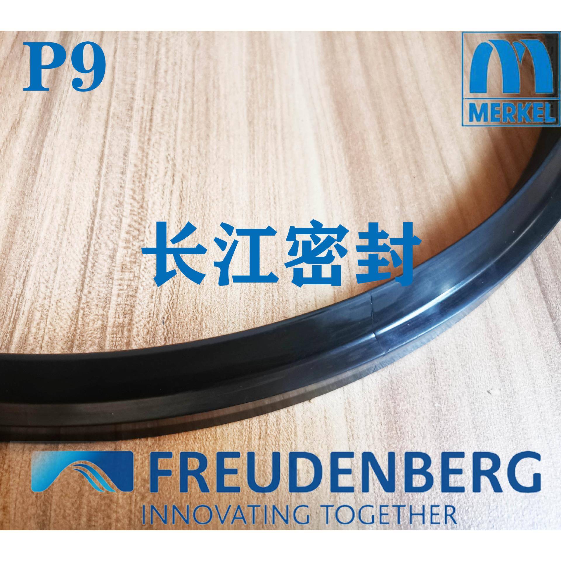 MERKEL进口防尘油封P9220-240-10.2/18500*530*27/18注塑机压机