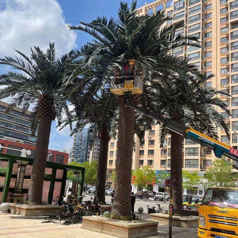 仿真椰子树大型仿真树海藻树室外景观工程树仿真植物假树