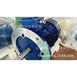 销售YSF电机大河上下顿失滔滔YT-801-4-0.55KW电机660V50HZ。