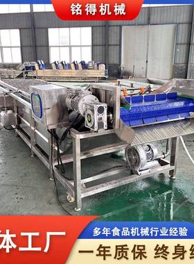 小型油麦菜气泡清洗机商业香菜自动喷淋式清洗设备多功能洗菜机