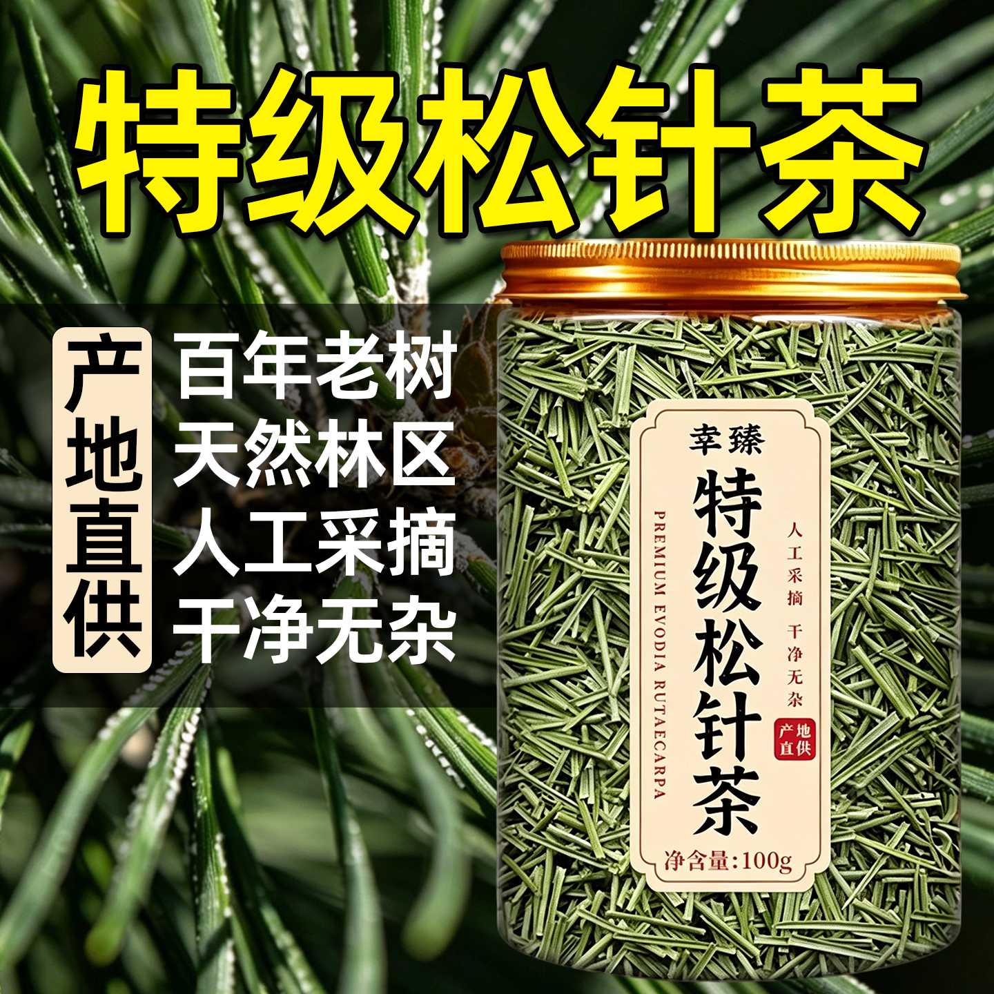 松针松针茶特级正品长白山野生马尾松针中药材松针粉叶官方旗旗舰