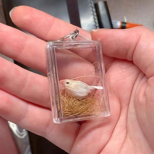 透明经文盒小鸟毛收纳可打开嘎乌盒空盒吊坠挂件透明亚克力饰品盒