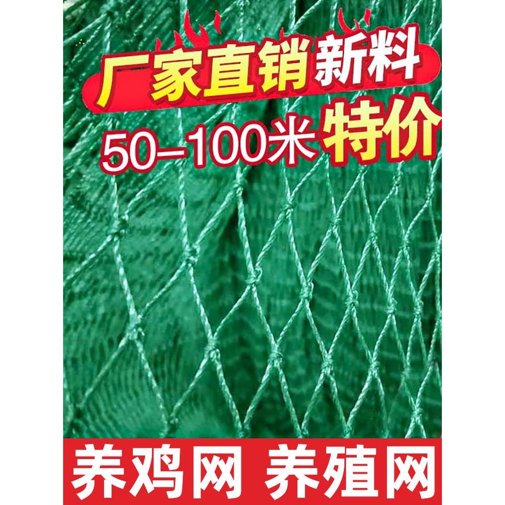 尼龙网防护网防鸡塑料网菜园围栏网隔离网鸡网拦鸡网安全网养鸡网