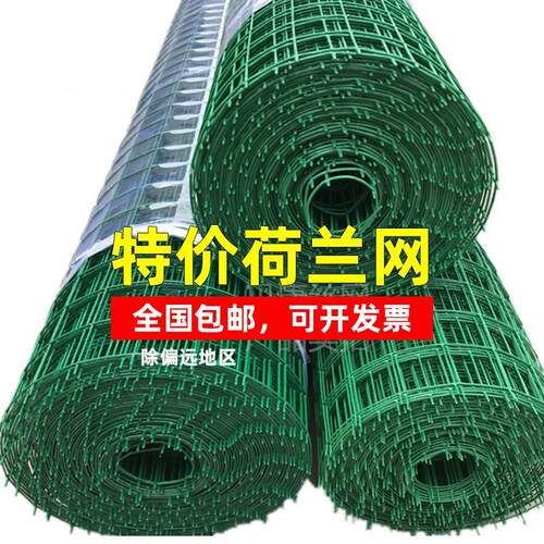 进口硬塑防锈网铁丝网养鸡网养殖防护网鱼塘围网荷兰网菜园圈地