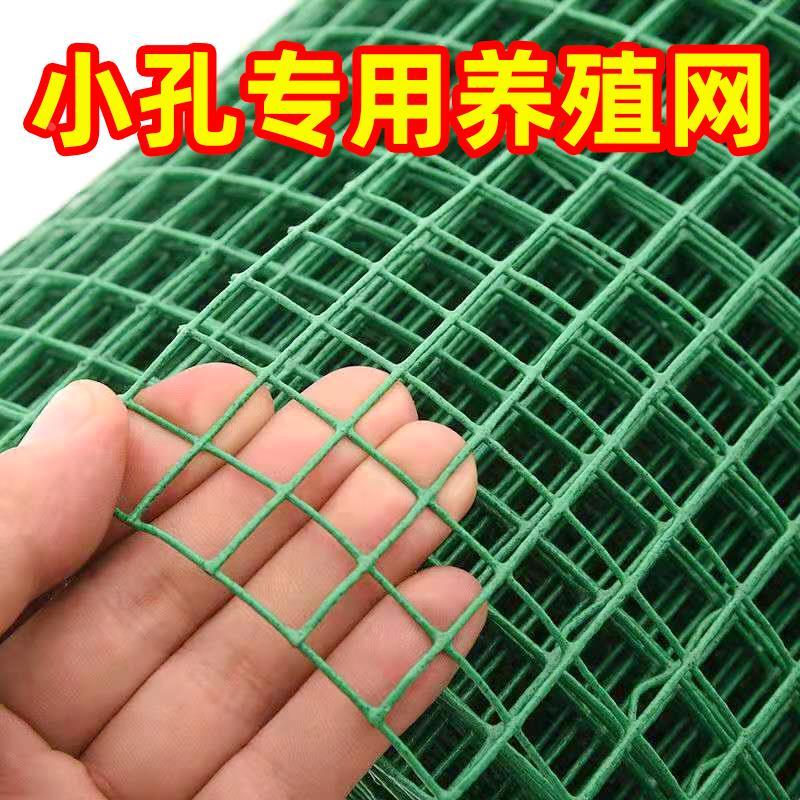 小孔养鸡网养殖网荷兰网钢丝网护栏网网格户外铁丝网围栏网安全网