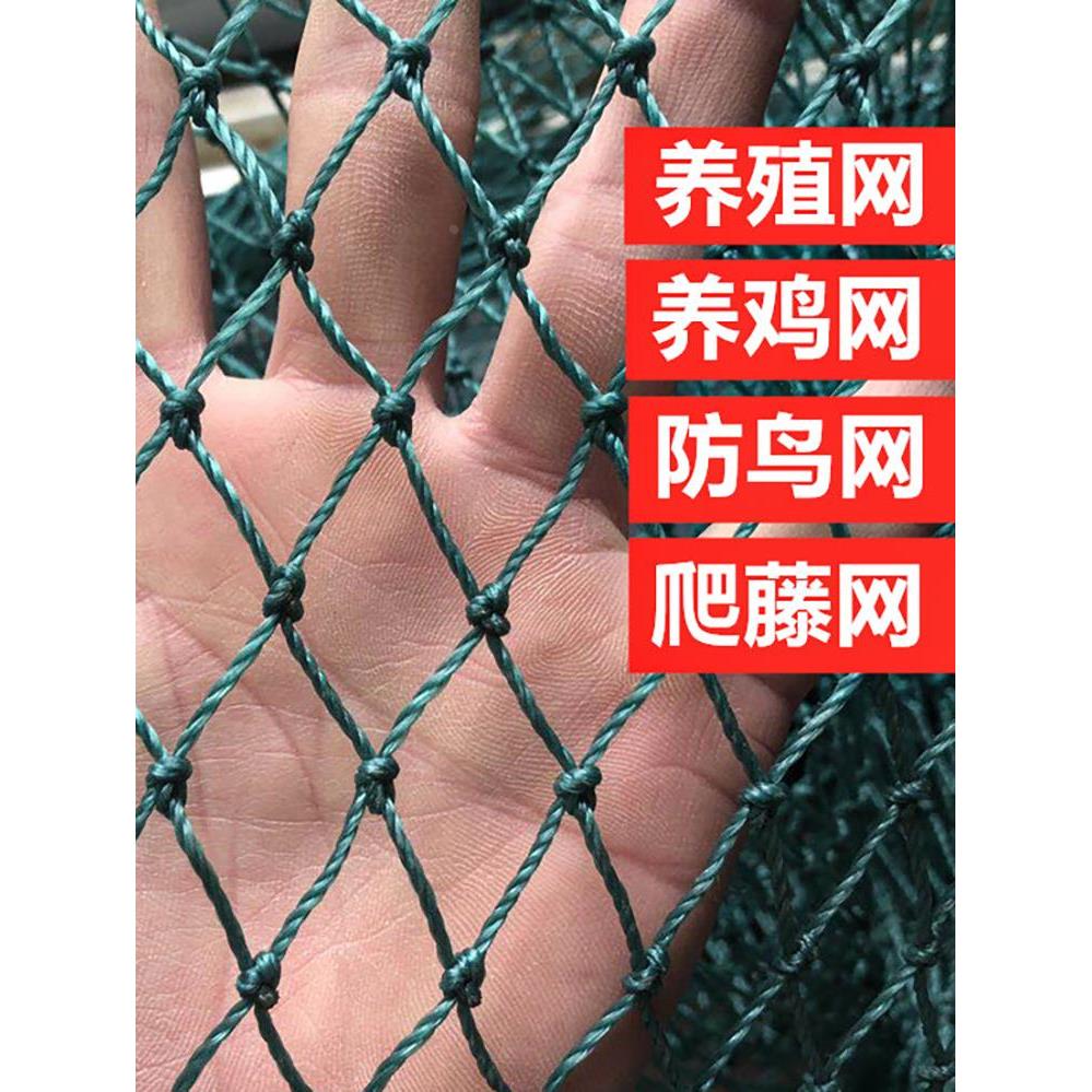 塑料网防护网尼龙网养鸡网安全网葡萄网围栏网拦鸡网隔离网果园