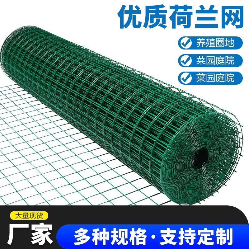 包塑养鸡网围栏网网格铁丝网防护养殖网荷兰网防护网铁网护栏网