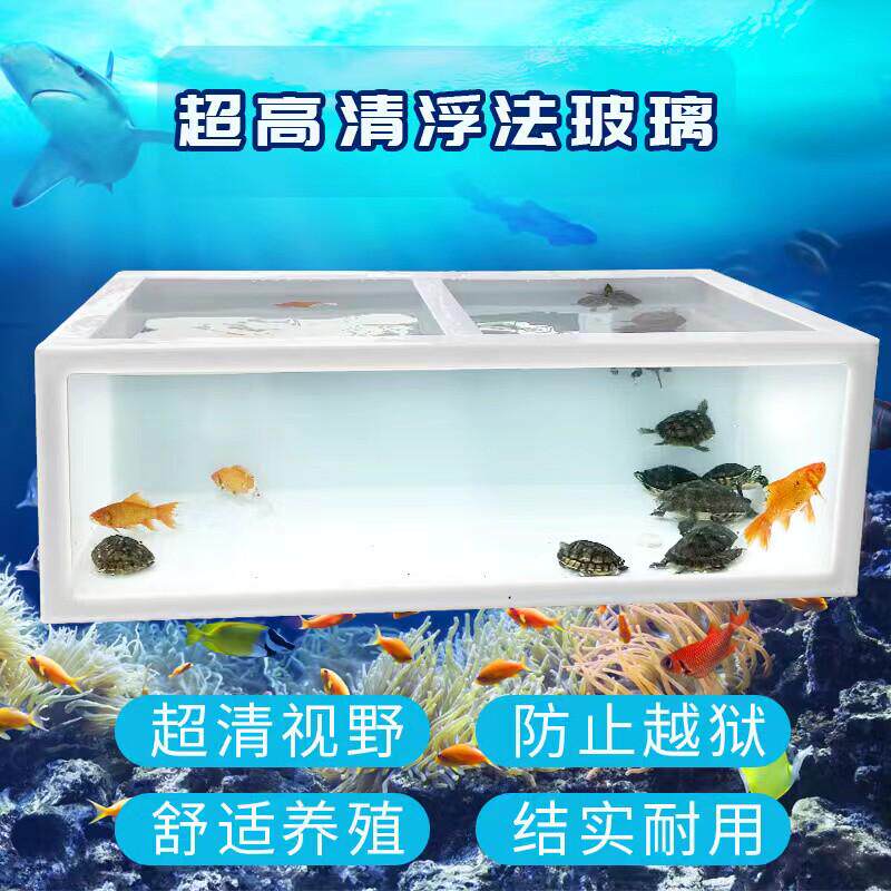乌龟缸大型塑料轻体高清透明玻璃深水鱼缸鱼池乌龟池生态龟缸龟池