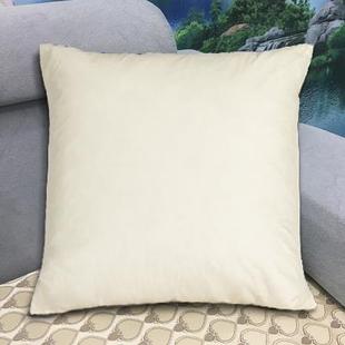 45×45方形100%羽绒填充纯色抱枕枕芯