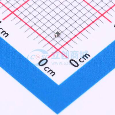 自恢复保险丝 0402L010SLKR 0402 原装正品