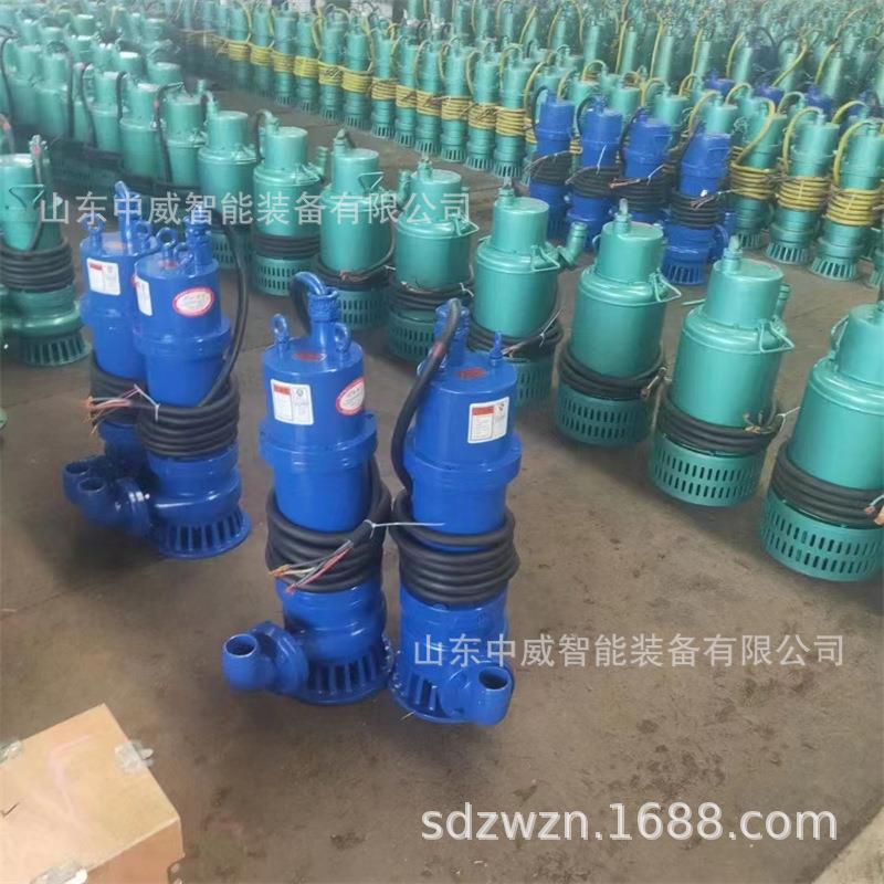 山西煤矿BQS矿用防爆潜水泵BQS70-120-45矿用隔爆型潜水排沙电泵