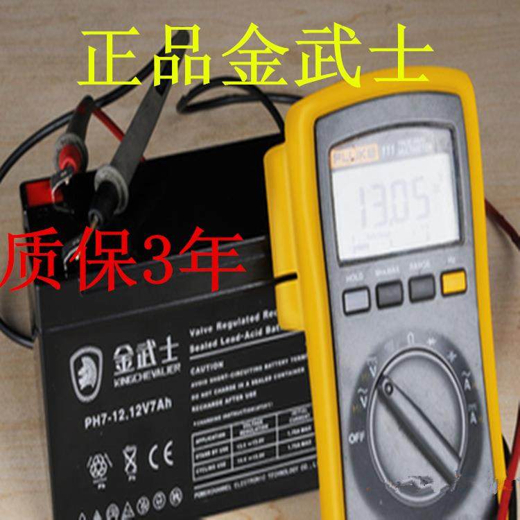 金武士蓄电池PW38-12（12v38ah）生产