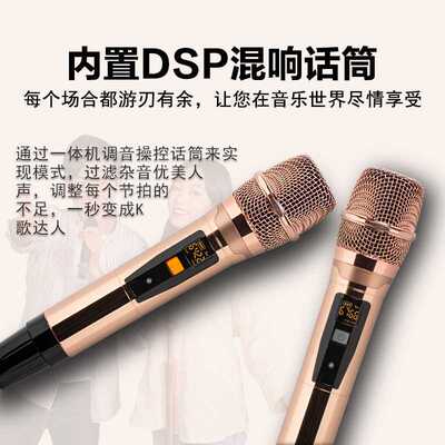 18.5寸便携式功放点歌一体机家庭音响套装点歌机唱歌机卡拉OK音箱