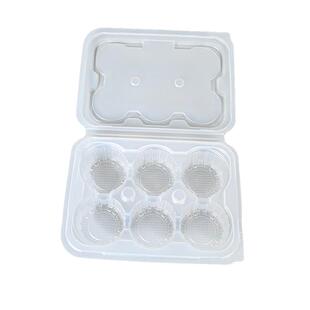 一次性小笼包盒6格保鲜盒速冻青团盒早餐分格收纳盒子汤包打包盒