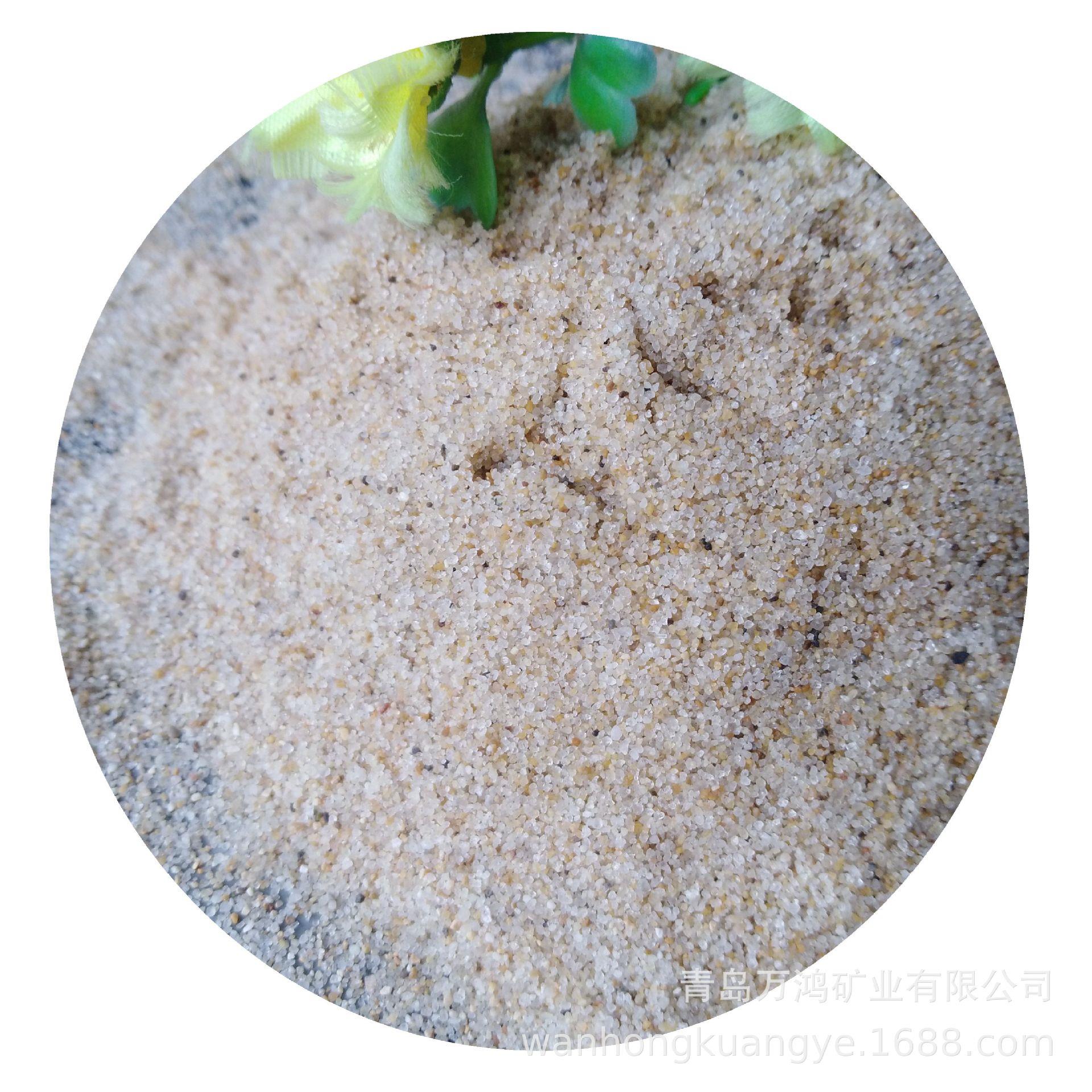 无尘海沙幼儿园沙池用白沙30-50目儿童水洗圆粒海砂沙滩沙坑沙