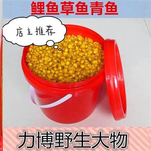 老谭玉米钓鱼甜玉米钓鱼专用老坛玉米饵料玉米罐头钓鱼小麦青鱼饵
