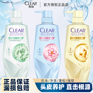 清扬头皮护理洗发水强韧丰盈控油焕活净澈蓬松洗发露高颅顶洗头膏