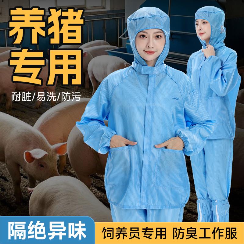 养猪场专用工作服防臭耐脏易清洗喂猪清扫分体连帽连体养殖防护服