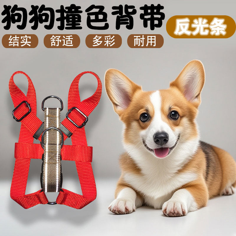 狗狗小型遛狗绳反光条撞色