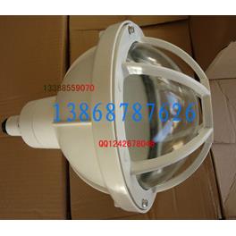 FAD--S-200 FAD56/FXD防水防尘防腐灯防爆防腐灯 FGL-200S