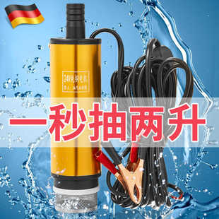 德国小型电动抽油泵12v24v家用抽油神器通用柴油加油机抽水泵吸油