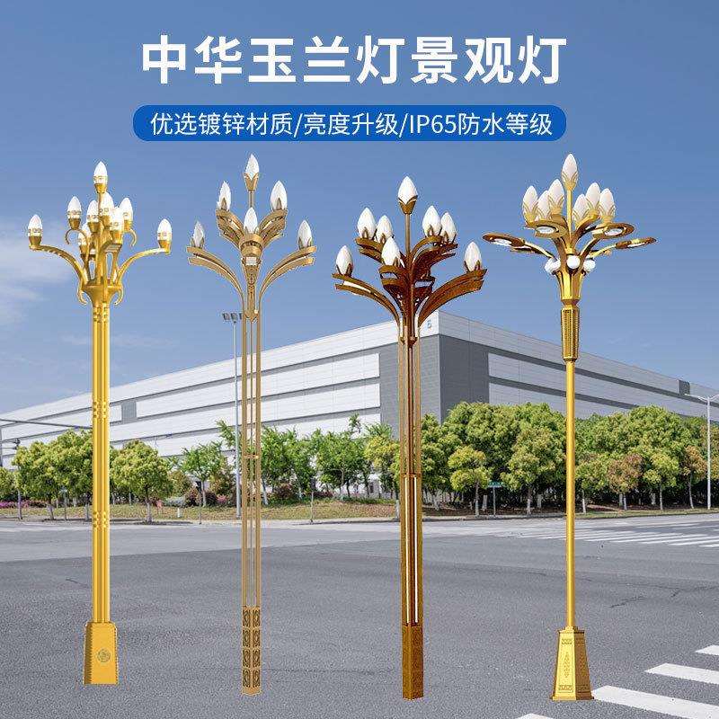 户外中华灯玉兰灯6/7/8/9米中高杆路灯市政道路灯亮庭院景观灯