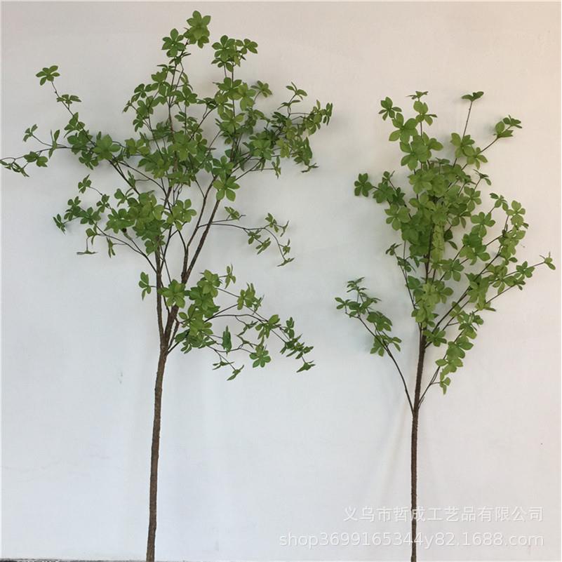 真多瓣草叶树仿真叶BCW四星叶绿植影视仿拍摄吊钟道具家居仿真花
