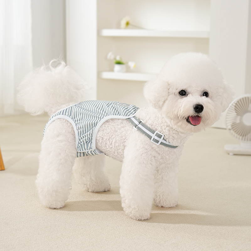 狗狗生理裤姨妈巾母狗女小型犬卫生防骚扰比熊月经裤宠物衣服全棉