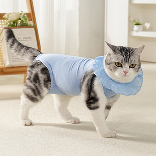 猫咪绝育服母猫手术服衣服透气纯棉服断奶服公猫防舔术后宠物猫猫