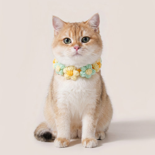 可爱猫咪围脖小猫口水巾装饰针织毛线宠物手工编织围巾公主猫围兜