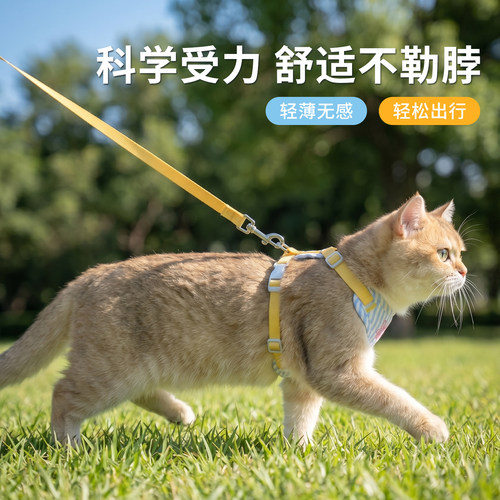 溜猫神器猫咪牵引绳防挣脱外出专用猫绳小奶猫宠物防丢胸背带链子