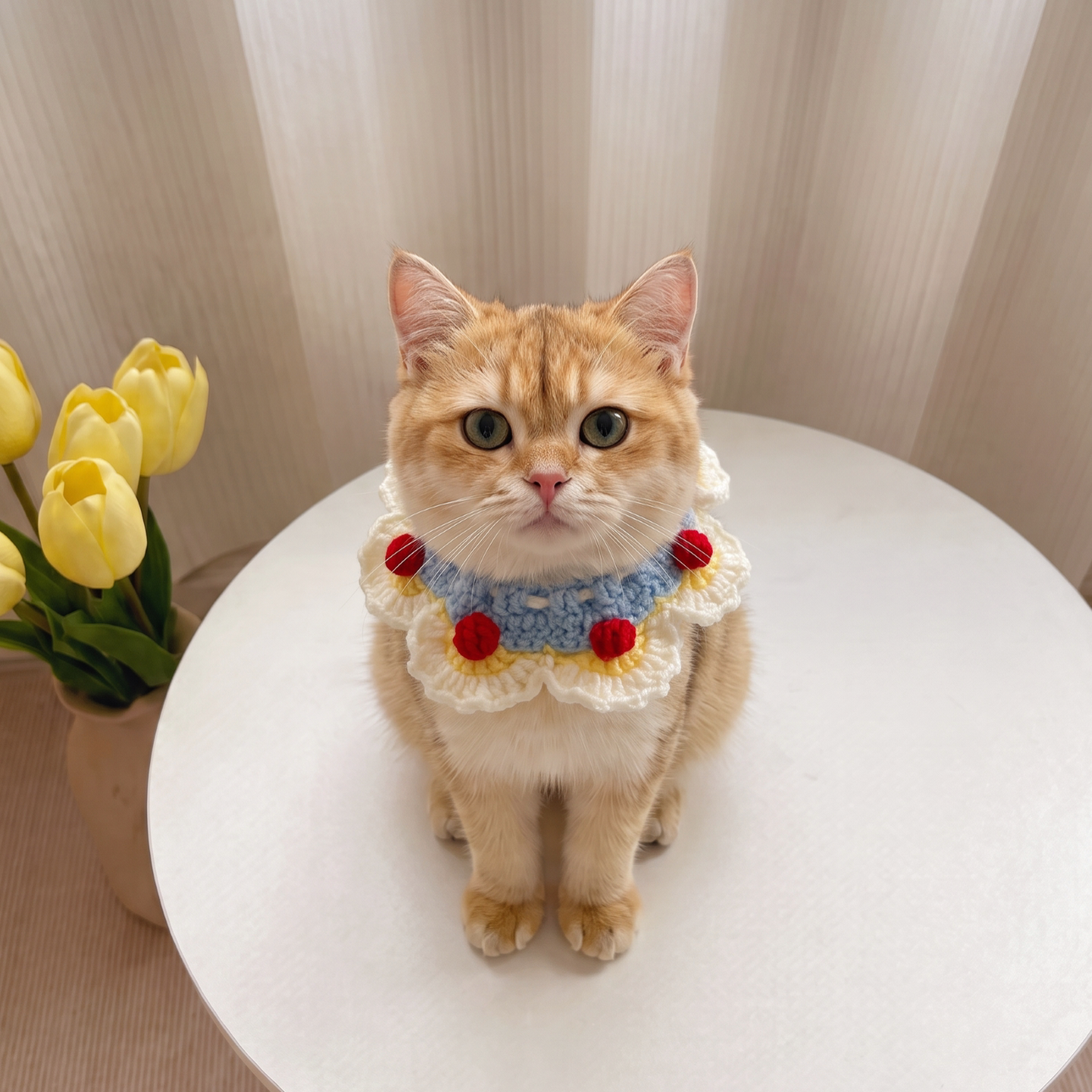 猫咪围脖围兜宠物围巾猫咪三角巾幼猫可爱领结狗狗通用口水巾装饰
