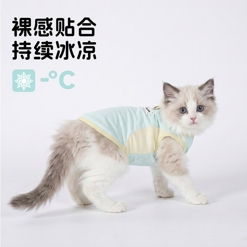 猫咪衣服夏季薄款防掉毛背心凉凉衣小猫宠物服饰夏天布偶英短透气