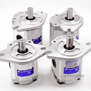 F420 HCHC合肥长源齿轮油泵CBF CBF ALP F432 F410