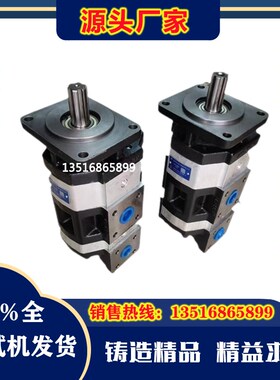 阜新液压泵CBF-E10P E18P E25P E32P E40P E63P E80ALP高压齿轮泵