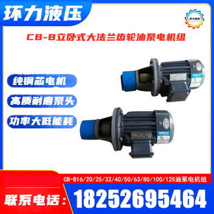 B20 B16 B25 B32 B63JZ机床锯床润滑齿轮油泵电机组 WBZ B50