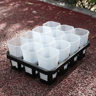 新款钻石盆侧开孔万象盆透明多肉玉露盆八角绿植桌面盆栽花盆透气