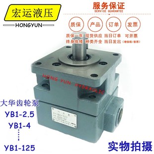 10液压齿轮油泵YB1 100正 仙居大华液压叶片泵YB1