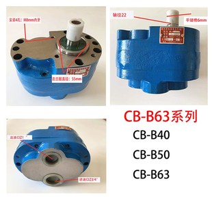 125机床液压齿轮油泵F 100 B10 2.5