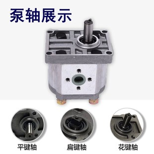 316 剪板机液压油泵高压齿轮泵CBN 310 306 320油压泵头总成 F304