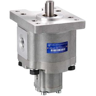 CLH双联齿轮油泵六花齿轮泵高压泵 F310 吊机长源液压CBQWQ F550