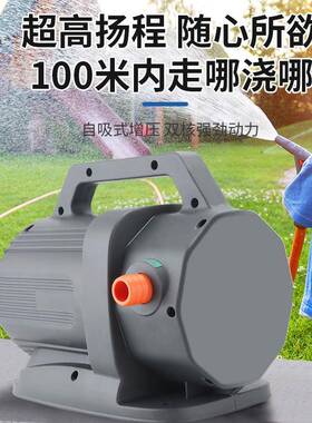 直村流式无刷浇水菜浇水机抽自泵农用灌溉家用户外吸浇MXJ地静音