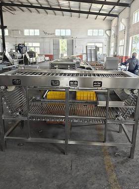 鹌鹑蛋分大分选小QDW机蛋品鸭选机蛋鸡蛋自动分大小重量机械分拣