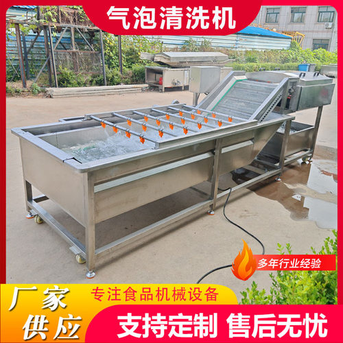 商用果蔬喷淋气泡清洗机芝麻菜气泡清洗机设备竹笋清洗风干流水线