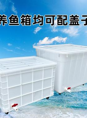 特养大号带轮子周转箱养龟带轱排水口带鱼KCG水箱带孔水产养殖辘