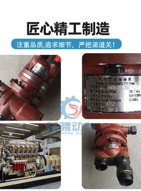 预驰0动300型XNN柴油机A1V190PZL-3气动机油供泵部件30208.54.00