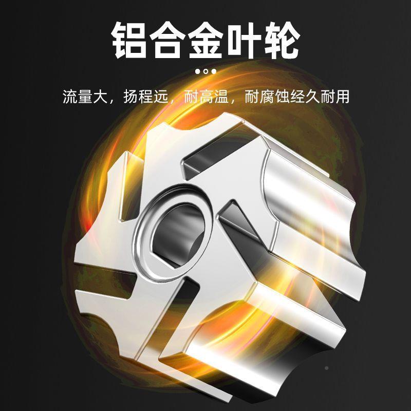 反12V2XHN4V220V正伏电动柴油抽油器抽油自吸泵抽油泵机柴泵油加