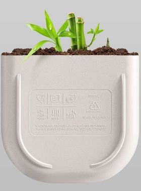 微c无品牌/amuz日式双层饭盒可波炉上加热班族便携密封分隔塑料便